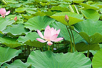 《宇宙机器人》免费DLC预告 新增5个关卡和10个客串机器人